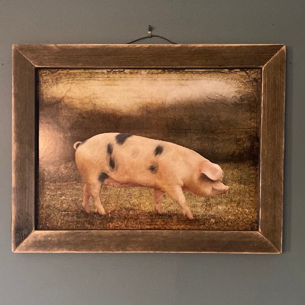Framed Pig Art Print